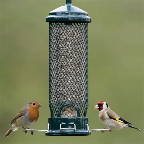 How to build a wilderness bird trap. Pin on Best Bird Feeders You Can Buy Online