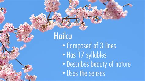 Haiku Examples
