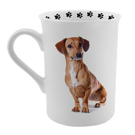 Maybe you would like to learn more about one of these? 11 Dachshund Gifts for Weiner Dog Lovers
