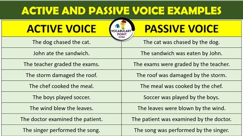 PAST INDEFINITE TENSE ACTIVE AND PASSIVE VOICE EXERCISE Archives