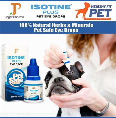 Effective relief to your pet's wounds with this eye wash. Best DOG/CAT Eye Drops Cataract, Glaucoma, Non-Carnosine ...