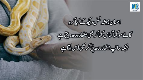 Purani Magar Qeemti Batein Famous Quotes About Life