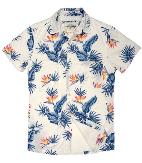 Sunset Clipart Shirt Hawaii Sunset Shirt Hawaii Transparent Free For