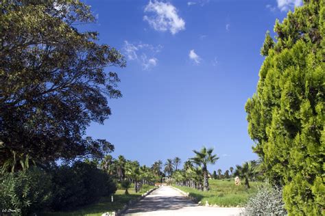 Dabei legte man auch einen ein hektar großen und bis zu vier meter tiefen teich an. Botanischer Garten Botanicactus - Mallorca Portal