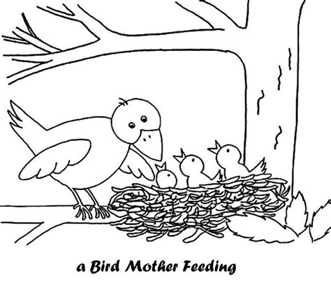 Free Printable Birds In Nests Coloring Pages Eddysonnelexender