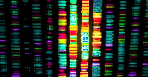 The Genomic Clues To Disease Pursuit By The University Of Melbourne