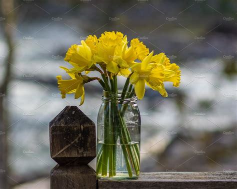 Daffodil Flowers In Mason Jar ~ Nature Photos ~ Creative Market