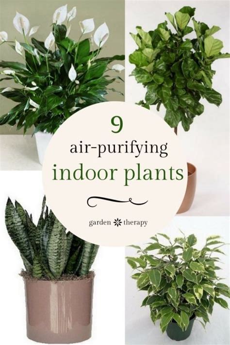 How do cacti plants survive in cold temperatures? Liven Up Your Home with Indoor Vertical Wall Planters ...