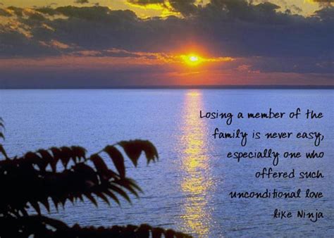 Right now, in this moment, your soul has again created opportunity for you to be, do, and have what it takes to know — neale donald walsch. Losing A Member Of the Family Is Never Easy, Especially One Who Offered Such Unconditional Love ...