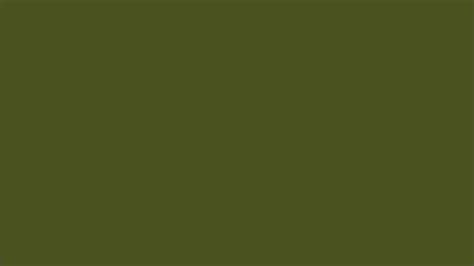 Army Green Rgb Color Code 4b5320 Youtube