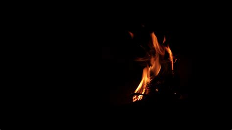 Bonfire Fire Dark Flame 4k Fire Dark Bonfire