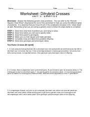 Printables of chapter 10 dihybrid cross worksheet answers. DiHybrid Worksheet.pdf - Name Period Date Chapter 10 ...