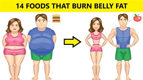 32 foods that burn belly fat fast. 14 Foods That Burn Belly Fat Fast - YouTube