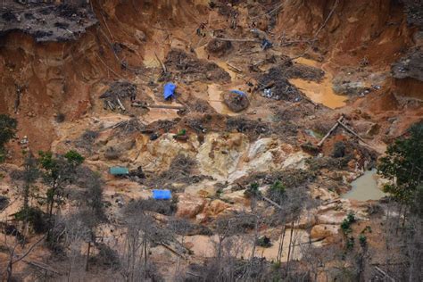 Conservation news on Habitat Destruction