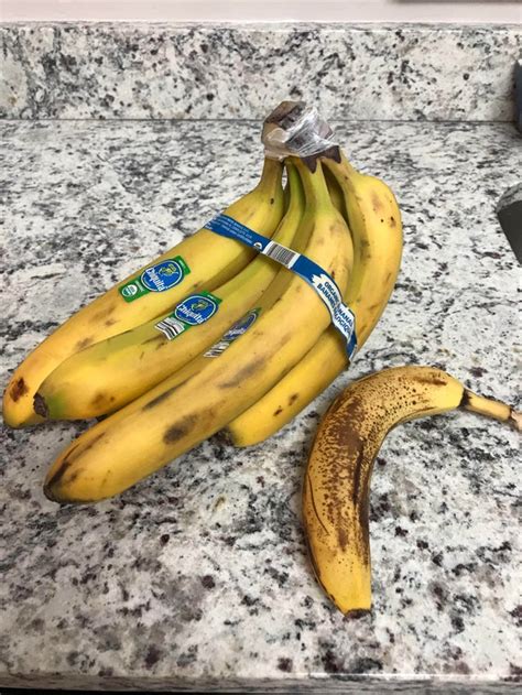 These Huge Bananas Rmildlyinteresting