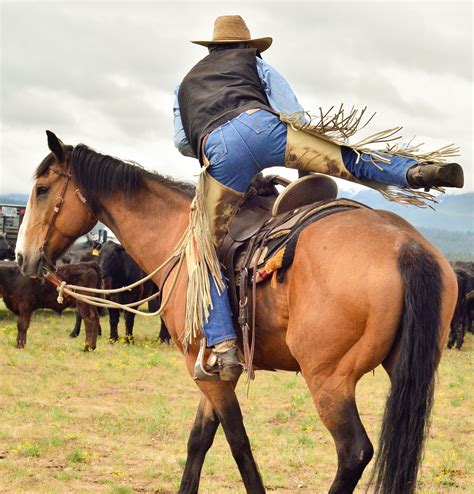 Nice Wranglers Cowboy Butts Cowboy Bull Riders