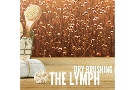 Your Lymph System And The Why To How Dry Brushing Nourishing Wellness