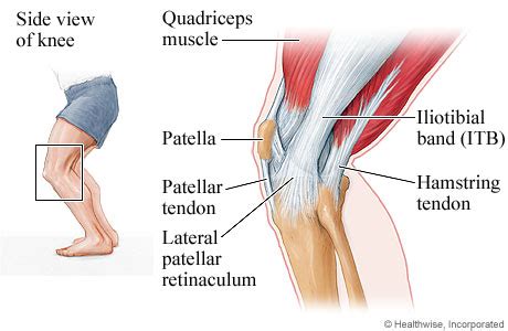 Nov 02, 2017 · this could result in pain in your upper arm and possible tingling in your hands and arms. Knee problems and injury | Braceworks Custom Orthotics