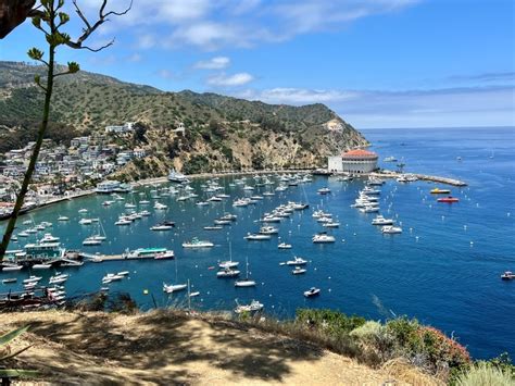 Catalina Island Day Trip Epic One Day Itinerary 2023 Destination