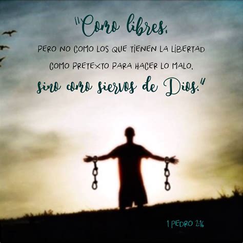 1 Pedro 216 Anexo In Christ Alone Gods Love Flyer Bible Jesus