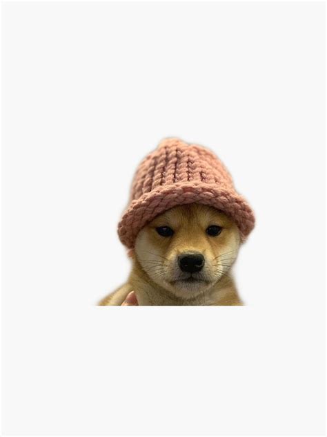 Dog Wif Hat Sticker By Gurlyy Redbubble