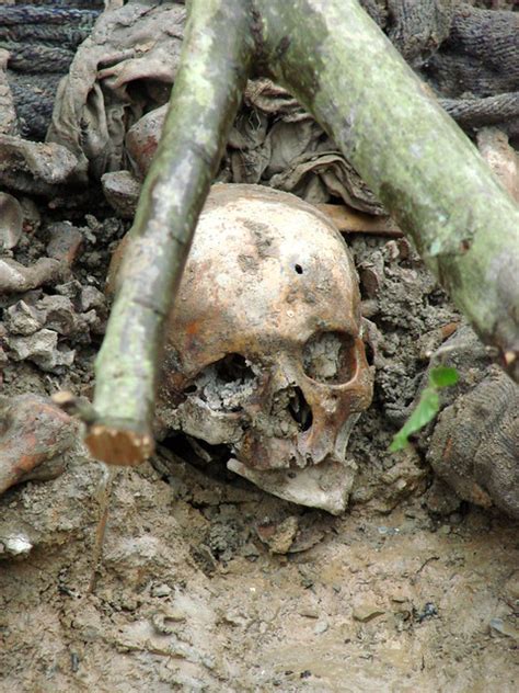 We did not find results for: Srebrenica Massacre - Skull of Exhumed Victim with Bullet ...
