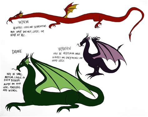 Different Types Of Dragons By Jakegothicsnake On Deviantart