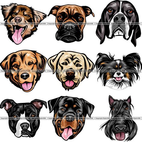 27 Dog Breed Head Face Top Selling Color Designs Super Bundle Clipart