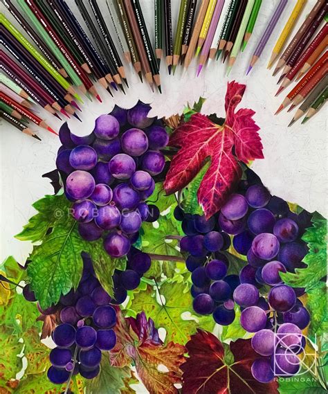 Realistic Colored Pencil Drawing By Robin Gan Home