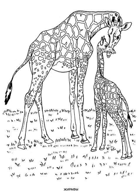 The free coloring sheets can be used by educators or simply by children who love wild animals. Wild animals coloring pages for kids to print for free