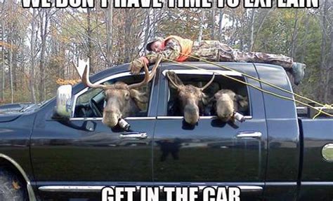 Funny Moose Cartoons Funny Moose Hunting Redneck Justice Funny Joke