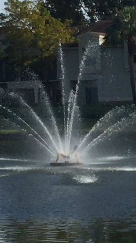 Florida Of The Day Naked Woman Celebrates Thanksgiving By Using Fountain As A Bidet The