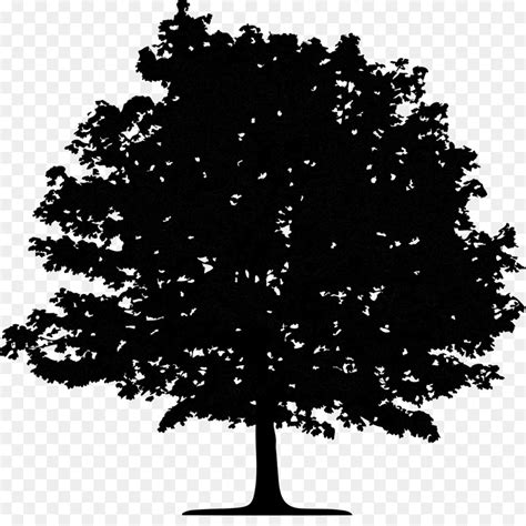 Oak Tree Silhouette Vector Png