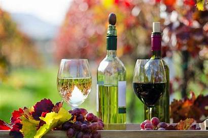 Wine Bottles Autumn Wallpapers Fall Glass Grapes