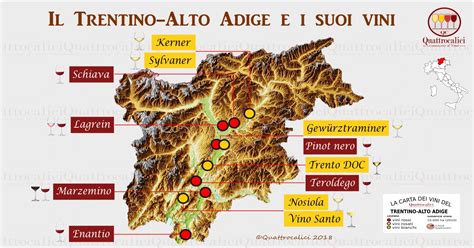 Il Vino In Trentino Alto Adige Quattrocalici Le Regioni Del Vino