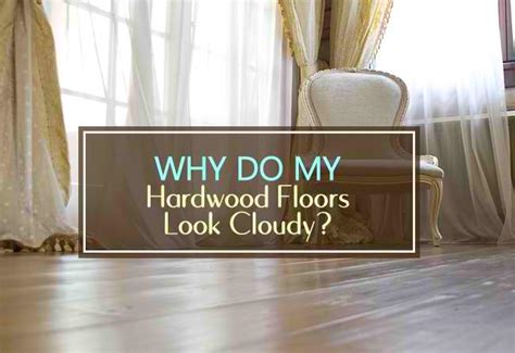 Why Do My Hardwood Floors Look Cloudy Household Advice