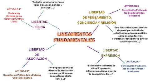 Las Libertades Fundamentales Y Nueva Escuela Mexicana