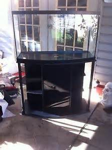 related to bow front fish aquariums bow front fish aquariums bow front 