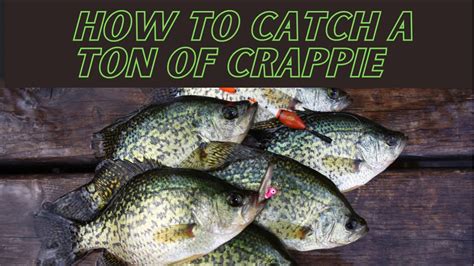 How To Catch A Ton Of Crappie Youtube