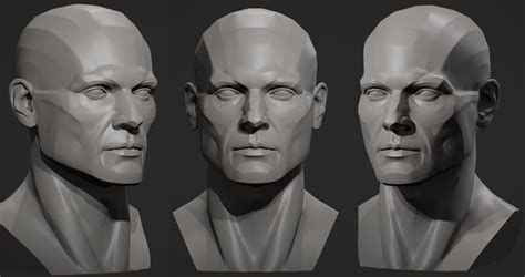 Planes Of The Head Male 3d Print Model In 2021 Male Face Drawing