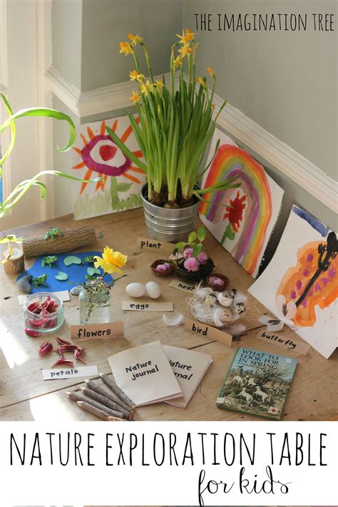 We have a host of science activities for kids as well as science. Nature Exploration Table | Imagination tree, Nature table ...