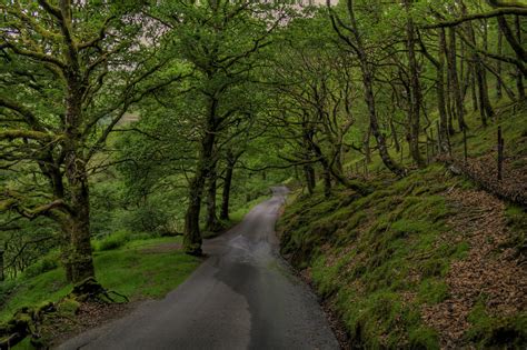 Down The Lane Driving Through The Elan Valley In Mid Wales Gary