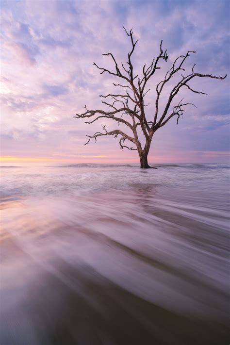 Charleston Photography Tours - Hurricanes Uncover Artifacts On