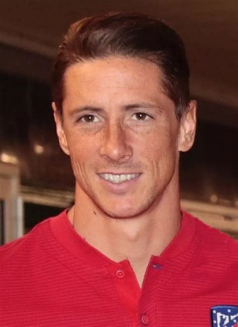 56 Facts About Fernando Torres Factsnippet
