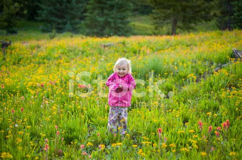 Little Girl Playing In Wildflower Meadow Stock Photo Royalty Free