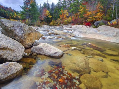Clear Mountain River Rocks Trees With Autumn Yellow And Red Leaves