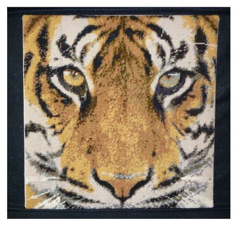 Bengal Tiger Counted Tiger Needlepoint Kit Tapestry Kits Tapestry