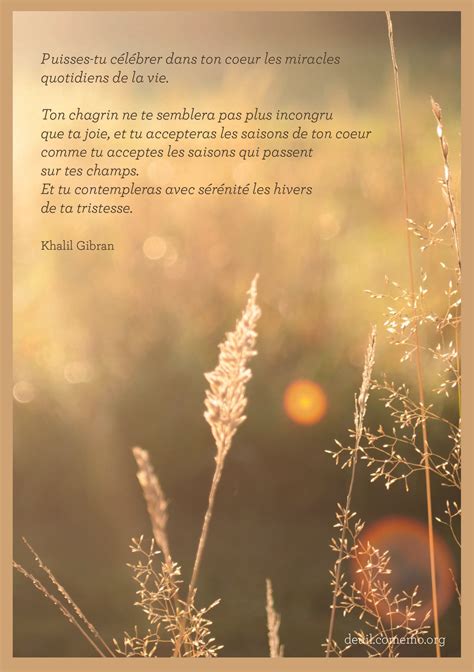 5 Cartes de remerciement  Albert Camus « Le courage »  Les mots du deuil