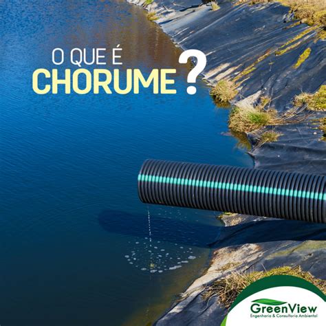 O Que é Chorume Greenview Engenharia And Consultoria Ambiental