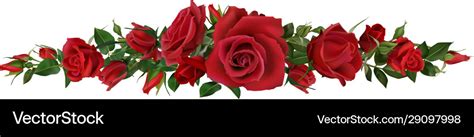 Realistic Red Roses Border Flower Blossom Vector Image
